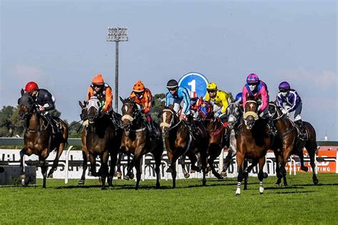 turffontein racecourse|Turffontein Racecards & Entries .